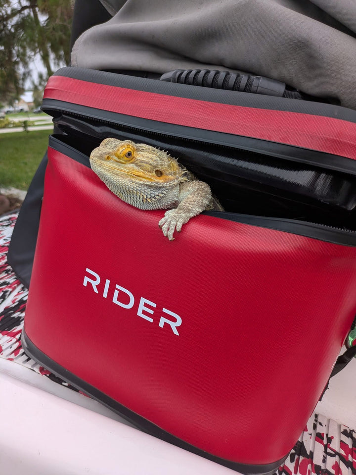 Rider PWC Coolers Jet Ski Coolers Set of 2 Red